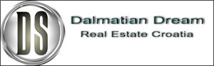 dalmatian dreams